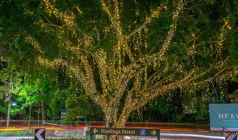 The Sunshine Coast Tour Company - Accommodation NT 3