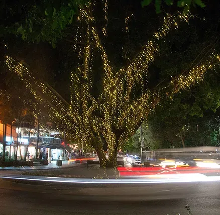 The Sunshine Coast Tour Company - Accommodation NT 2