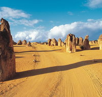 Pinnacles Desert Koalas and Sandboarding 4WD Day Tour from Perth - Accommodation NT