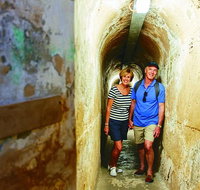 Rottnest Island Full-Day Trip With Guided Island Tour From Perth - Accommodation NT