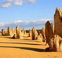 Pinnacles and Yanchep National Park Day Trip from Perth Including Lobster Shack Lunch and Sandboarding - Accommodation NT