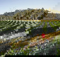 Margaret River Caves Wine and Cape Leeuwin Lighthouse Tour from Perth - Accommodation NT