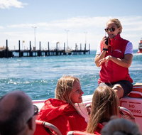 Rottnest Island Tour from Perth or Fremantle including Adventure Speed Boat Ride - Accommodation NT