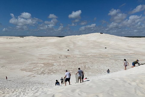 Pinnacles Day Trip From Perth Including Yanchep National Park - Accommodation NT 3
