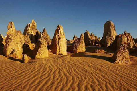 Pinnacles Day Trip From Perth Including Yanchep National Park - Accommodation NT 2