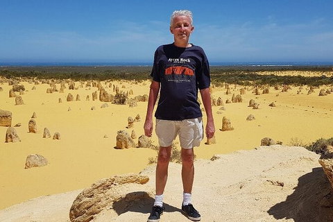 Pinnacles Day Trip From Perth Including Yanchep National Park - Accommodation NT 7