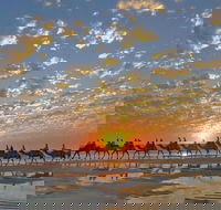 1 Hour Broome Sunset Camel Tour - Accommodation NT