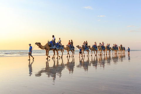 1 Hour Broome Sunset Camel Tour - Accommodation NT 7