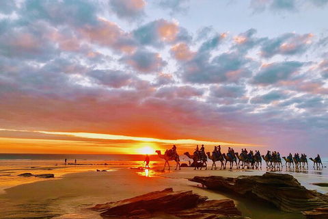 1 Hour Broome Sunset Camel Tour - Accommodation NT 10