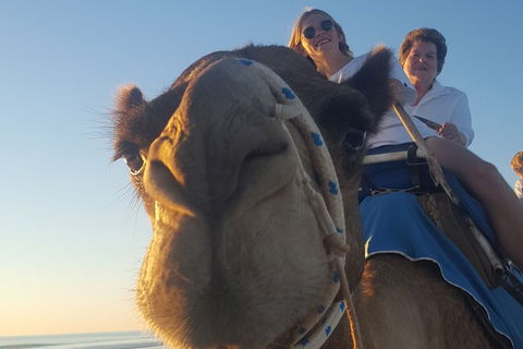 1 Hour Broome Sunset Camel Tour - Accommodation NT 2