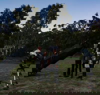 Stargazing Busselton with Mobile Observatory - Accommodation NT