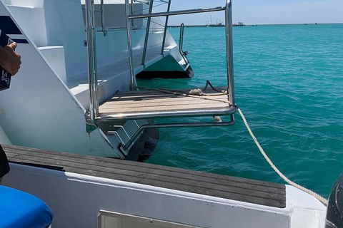 Snubfin Dolphin Eco Cruise From Broome - Accommodation NT 15