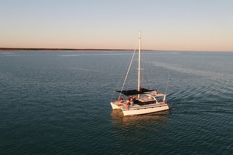 Snubfin Dolphin Eco Cruise From Broome - Accommodation NT 12