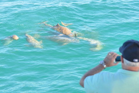 Snubfin Dolphin Eco Cruise From Broome - Accommodation NT 3