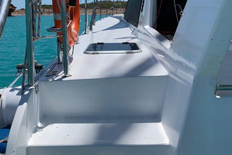 Snubfin Dolphin Eco Cruise From Broome - Accommodation NT 13