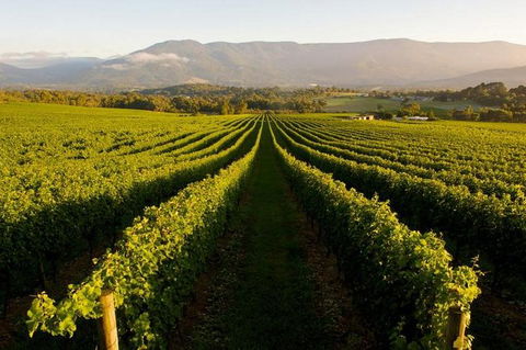 Full-Day Perth, Fremantle, Swan Valley Brewery - Accommodation NT 1