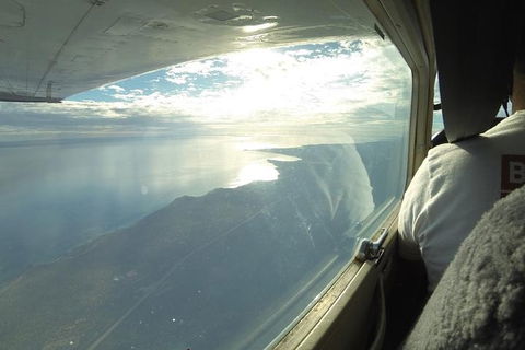 Monkey Mia Dolphins & Shark Bay Air Tour From Perth - Accommodation NT 7