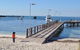 Monkey Mia Dolphins & Shark Bay Air Tour From Perth - thumb 10