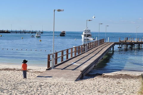 Monkey Mia Dolphins & Shark Bay Air Tour From Perth - Accommodation NT 10