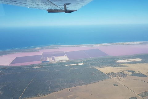 Monkey Mia Dolphins & Shark Bay Air Tour From Perth - Accommodation NT 6