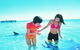 Monkey Mia Dolphins & Shark Bay Air Tour From Perth - thumb 2