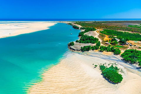 Willie Creek Pearl Farm Tour From Broome - Accommodation NT 0
