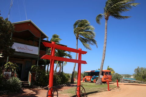 Willie Creek Pearl Farm Tour From Broome - Accommodation NT 4