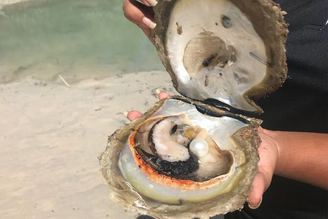 Willie Creek Pearl Farm Tour From Broome - Accommodation NT 6