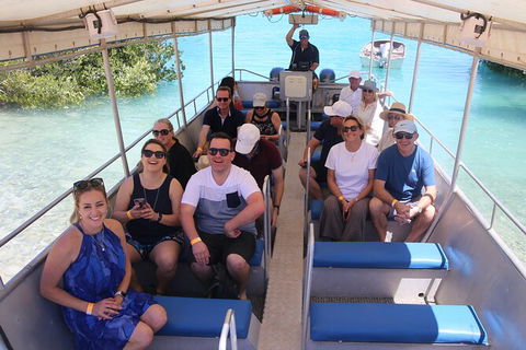 Willie Creek Pearl Farm Tour From Broome - Accommodation NT 3