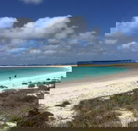 Abrolhos Island Half Day Fly and Flipper - Accommodation NT