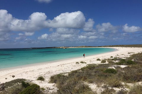Abrolhos Island Half Day Fly And Flipper - Accommodation NT 0
