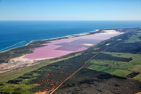 Pink Lake & Abrolhos Island Flyover - Accommodation NT 1