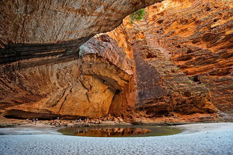 Bungle Bungle Flight, Domes & Cathedral Gorge Guided Walk From Kununurra - Accommodation NT 6