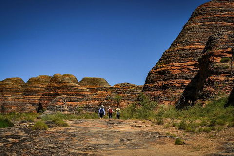 Bungle Bungle Flight, Domes & Cathedral Gorge Guided Walk From Kununurra - Accommodation NT 3
