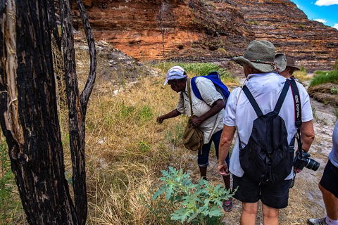 Bungles Day Trek - Accommodation NT 3