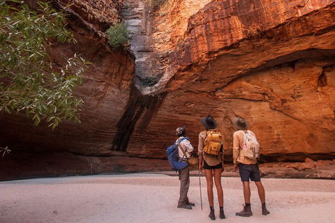 Bungles Day Trek - Accommodation NT 2