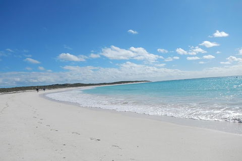 Shipwreck Special Nature Tour/Half Day Tour - Accommodation NT 3