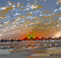 Broome City Sightseeing Tour with Optional Camel Ride - Accommodation NT
