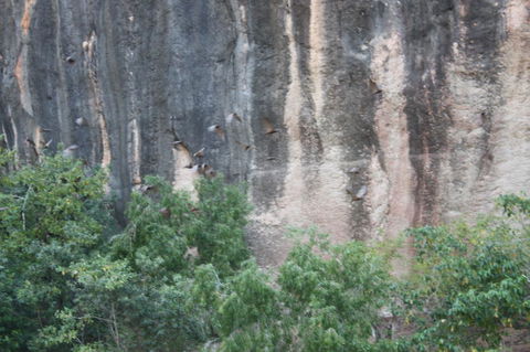 Windjana Gorge And Tunnel Creek 4WD Tour From Broome - Accommodation NT 2