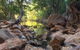 Windjana Gorge And Tunnel Creek 4WD Tour From Broome - thumb 9