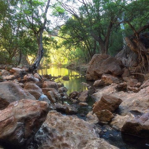 Windjana Gorge And Tunnel Creek 4WD Tour From Broome - Accommodation NT 9