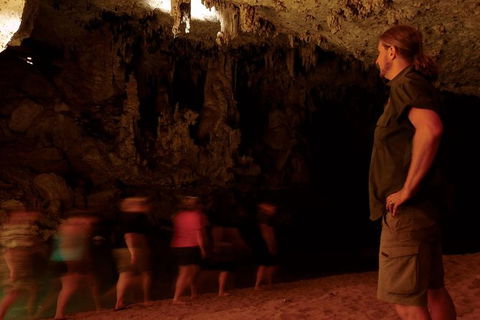 Windjana Gorge And Tunnel Creek 4WD Tour From Broome - Accommodation NT 16