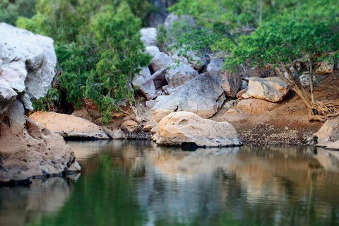 Windjana Gorge And Tunnel Creek 4WD Tour From Broome - Accommodation NT 17