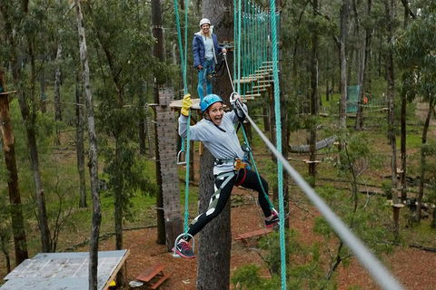 Busselton High Ropes And Zipline Adventure - Accommodation NT 0