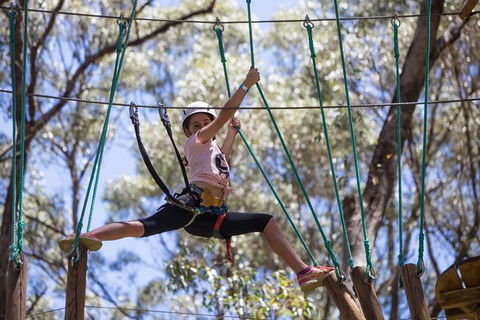 Busselton High Ropes And Zipline Adventure - Accommodation NT 1