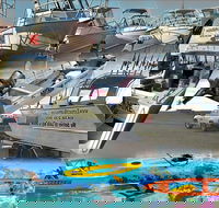 6-Metre Boat Renat Explore Exmouth's Ningaloo Reef - Accommodation NT