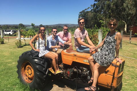 Half Day Swan Valley Wine Tour - Accommodation NT 6