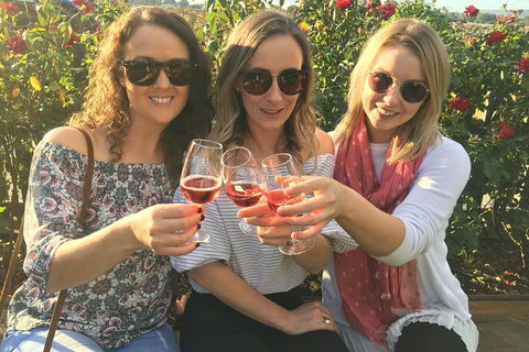 Half Day Swan Valley Wine Tour - Accommodation NT 2