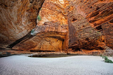 Bungle Bungle Scenic Flights, Domes & Cathedral Gorge Walk - Accommodation NT 0