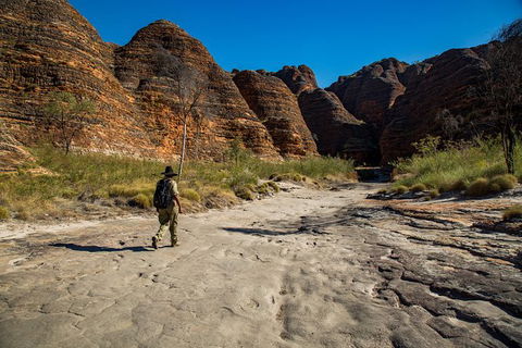 Bungle Bungle Scenic Flights, Domes & Cathedral Gorge Walk - Accommodation NT 7